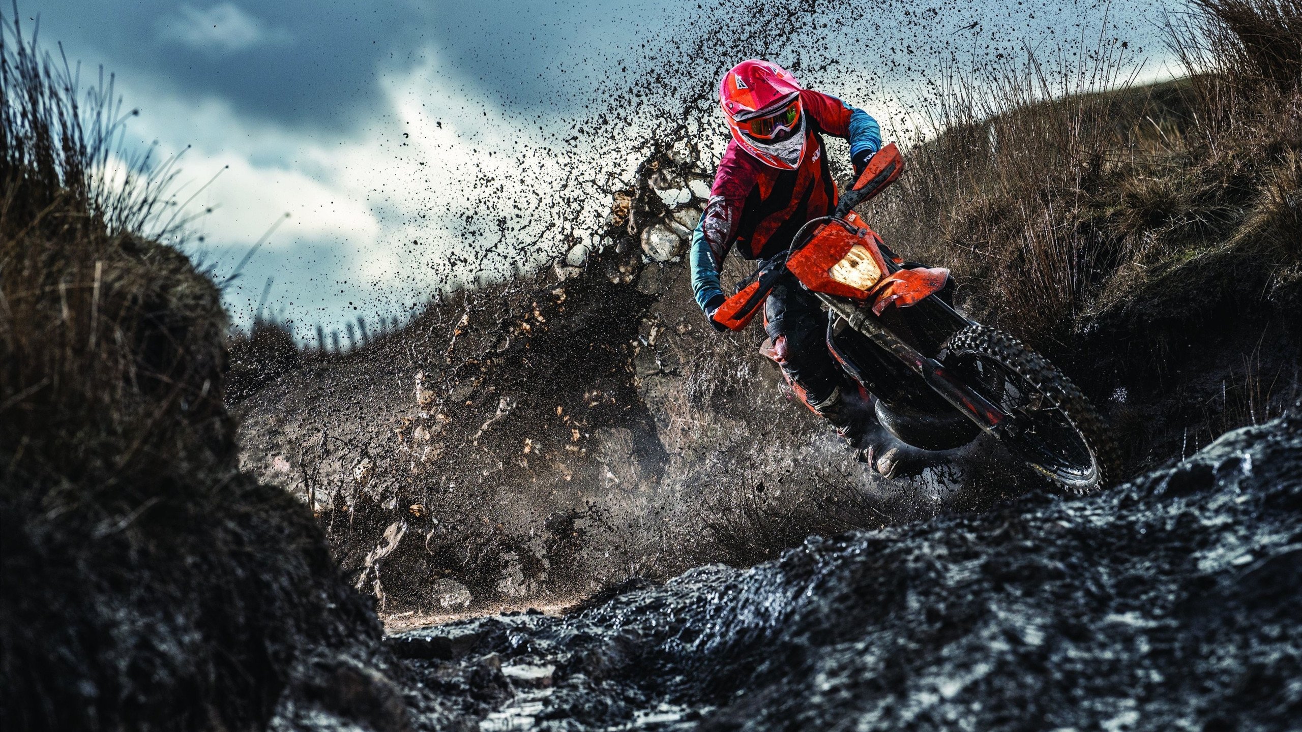 体育产业投资市场分析