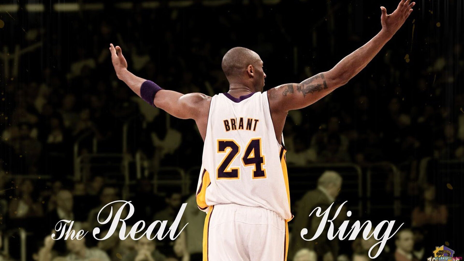 超级山径越野赛 纵跨雪山峡谷赛程超百公里